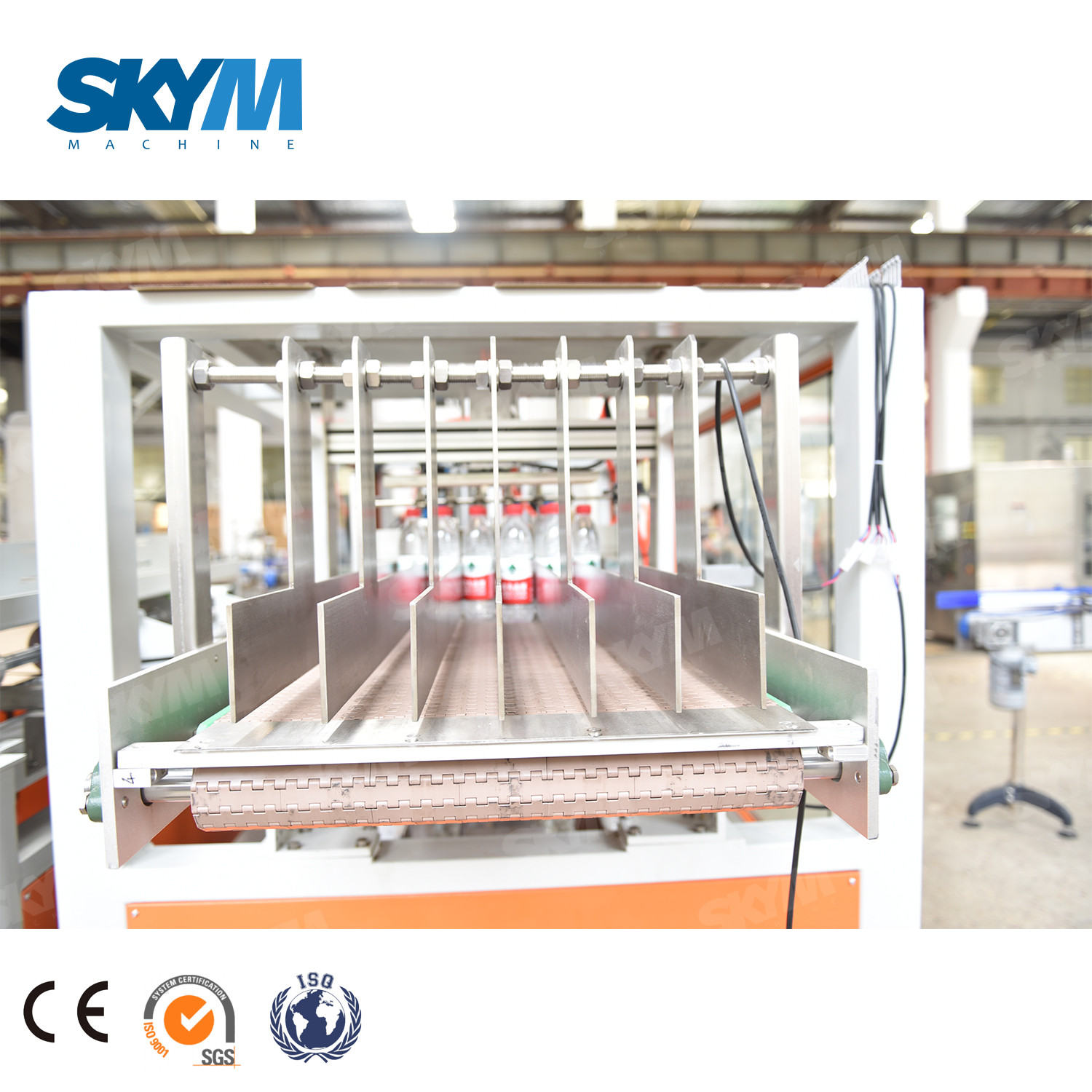 Automatic Carton Box Packing Machine for Bottles 